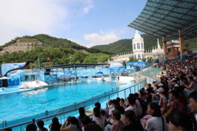 小梅沙海洋世界什么时候开放?小梅沙海洋世界门票