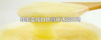 蜂蜜变成白色膏状怎么变回液体 蜂蜜白色膏状是真蜂蜜
