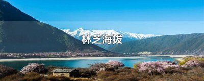 林芝海拔多少米 林芝海拔是多少