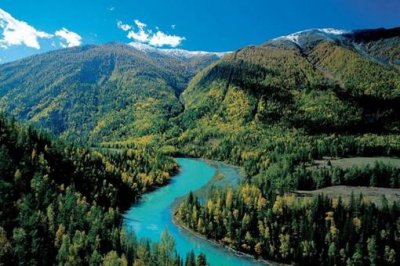 维吾尔族是怎样形成的?