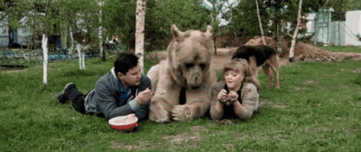 渡渡鸟什么时候灭绝的(渡渡鸟真正的灭绝原因)