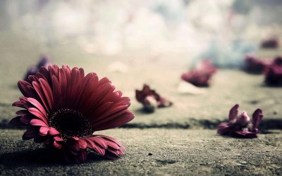 男生喜欢什么类型的女生 男生最喜欢的女生类型