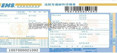 法院专递邮件是什么(法院快递是什么快递)