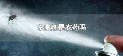 杀虫剂是农药吗(杀虫剂与农药的区别)