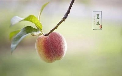 夏至吃什么东西最好(适合在夏至吃的食物介绍)