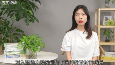 ​天为什么是蓝的