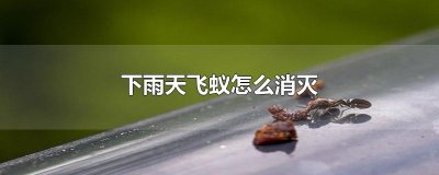 ​下雨天飞蚁怎么消灭