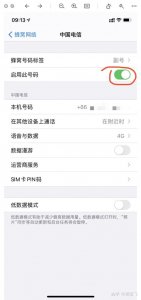 ​苹果发短信怎么切换主副卡给同一个人发(苹果发短信怎么切换主副卡给同一个人发