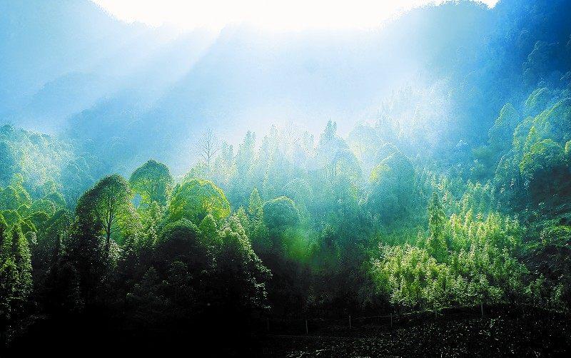 房县属于哪个市(湖北房县属于哪个市)