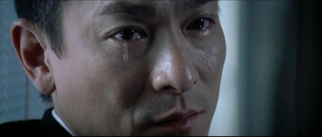 刘德华的这十部电影你绝对没看过（八大刘德华经典电影）(4)