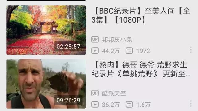 下架的一些电视剧怎么看（我最喜欢的网站大量电视剧下架了）(11)