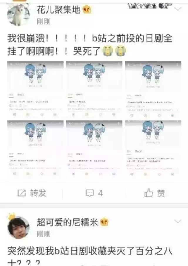 下架的一些电视剧怎么看（我最喜欢的网站大量电视剧下架了）(7)