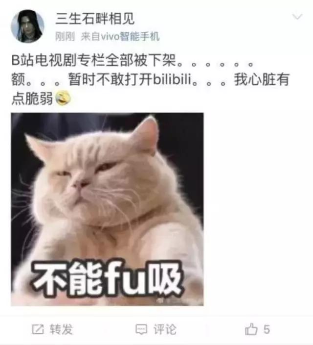 下架的一些电视剧怎么看（我最喜欢的网站大量电视剧下架了）(9)