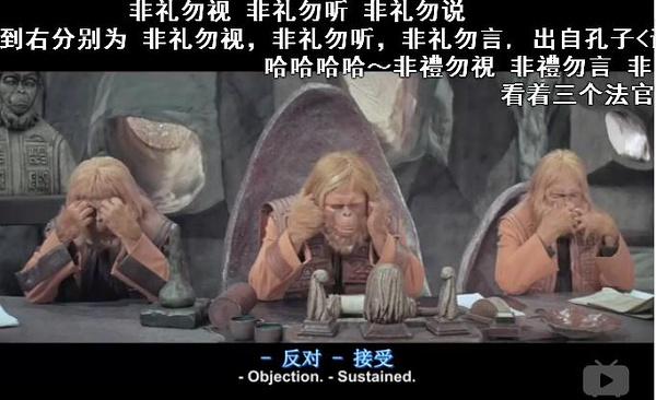 最好看的大猩猩电影有哪些（史上最全的来自猩猩的你）(13)