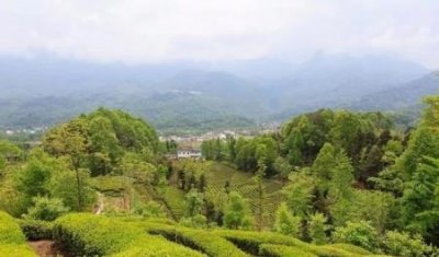 ​南京免费开放景点探索南京的美丽风光