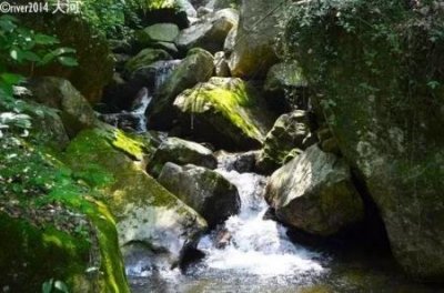 ​1月中旬去哪里旅游好1月中旬去哪里旅游好？