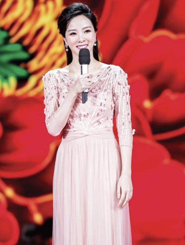 演员李思思个人资料简介（春晚主持人李思思婚后生活幸福吗）(13)