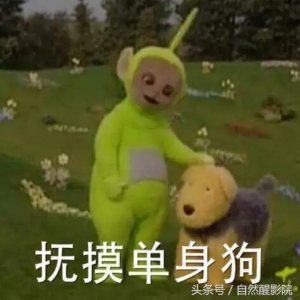 ​胡一菲恋爱原则（招渣男的胡一菲）