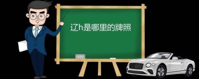 ​辽h是哪里的牌照