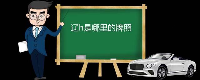 辽h是哪里的牌照-