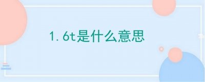 ​1.6t是什么意思