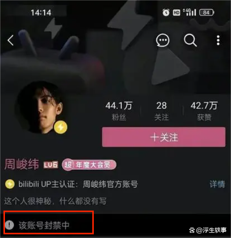 《宁安如梦》是哪个导演拍的 宁安如梦一直不播的原因是什么?