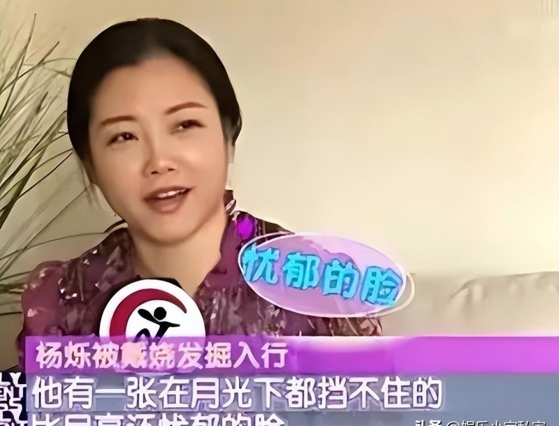 小包总杨烁主演的电视剧（杨烁主演的电视剧有哪些）