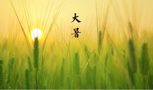 生活大暑节气有什么特点?  2