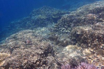 ​唐山市到涞原白石山自驾游几小时到保定到涞源白石山多远