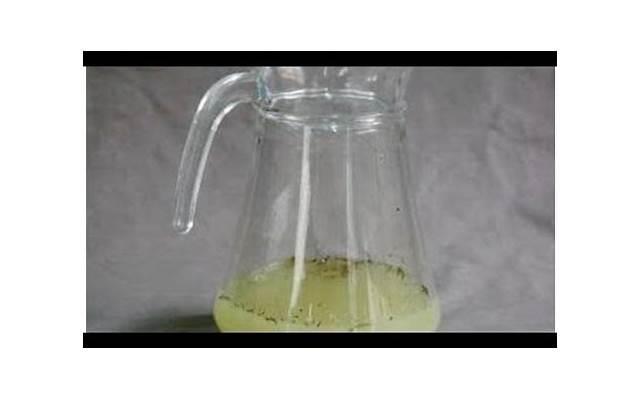 秋季养生如何饮食才健康 秋季吃什么更健康