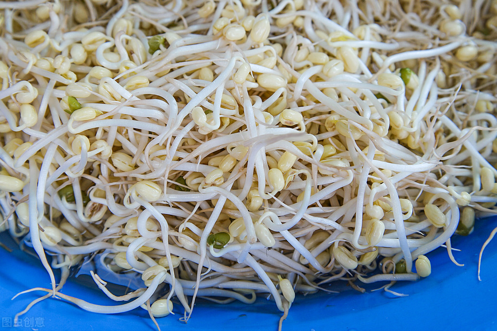 绿豆芽怎么种发芽最快（发绿豆芽的步骤详解）