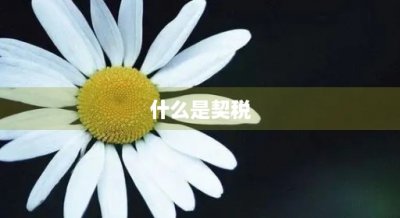 ​什么是契税