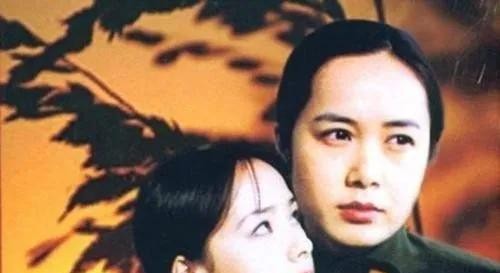 蒋雯丽电视剧作品大全(水厂女工蒋雯丽的完美逆袭)