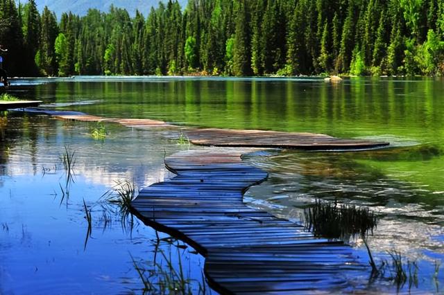 游客在喀纳斯湖拍到水怪(40多年过去了曾经出现过)(7)