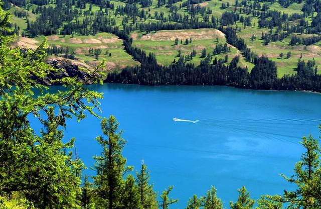 游客在喀纳斯湖拍到水怪(40多年过去了曾经出现过)(5)