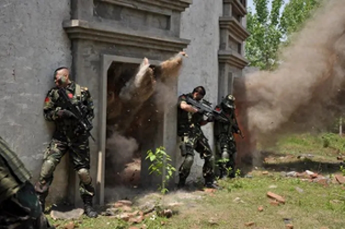 特种兵题材电视剧推荐(10部高分经典军旅剧)-