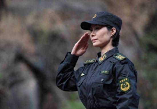 特种兵题材电视剧推荐(10部高分经典军旅剧)-