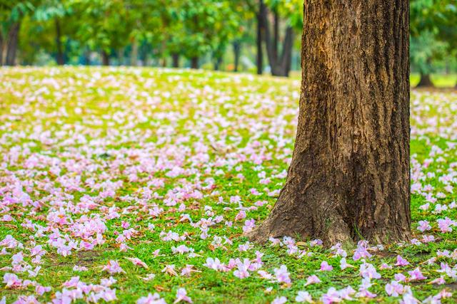 两句三年得一吟双泪流出自哪里（贾岛二句三年得）(2)