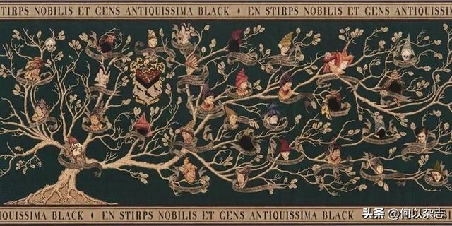 哈利波特巫师是如何产生的(哈利波特:关于巫师家族)(3)