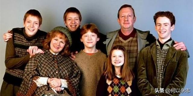 哈利波特巫师是如何产生的(哈利波特:关于巫师家族)(4)