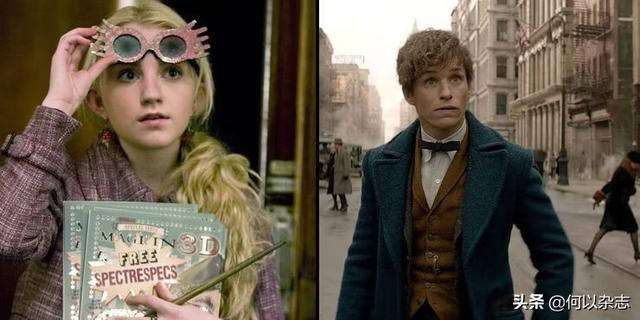 哈利波特巫师是如何产生的(哈利波特:关于巫师家族)(8)