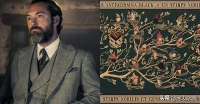 ​哈利波特巫师是如何产生的（哈利波特:关于巫师家族）