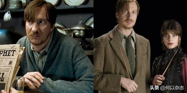 哈利波特巫师是如何产生的(哈利波特:关于巫师家族)(7)