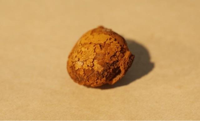 生活市面上最昂贵的三种中药材(石斛为什么会这么贵) 3