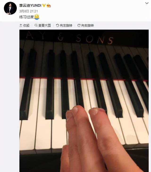以前的钢琴家李云迪（堕落钢琴王子李云迪的瓜）(10)