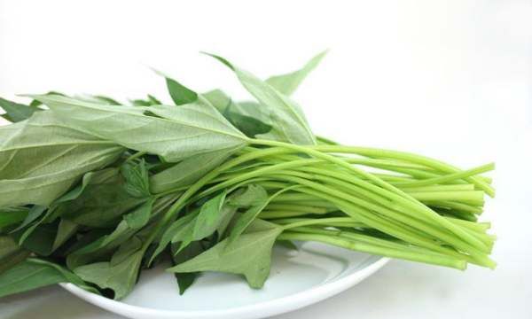 番薯叶是红薯叶,红薯叶和地瓜叶一样吗图5