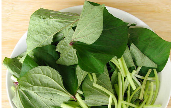 番薯叶是红薯叶,红薯叶和地瓜叶一样吗图9