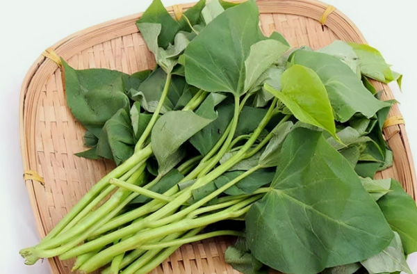 番薯叶是红薯叶,红薯叶和地瓜叶一样吗图6