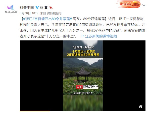 并蹄莲图片 双生花（快速了解什么是并蹄莲）