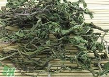 蒲公英晒干还需焯水吗?蒲公英晒干后要焯水吗? 蒲公英晒干还需焯水吗?蒲公英晒干后要焯水吗?